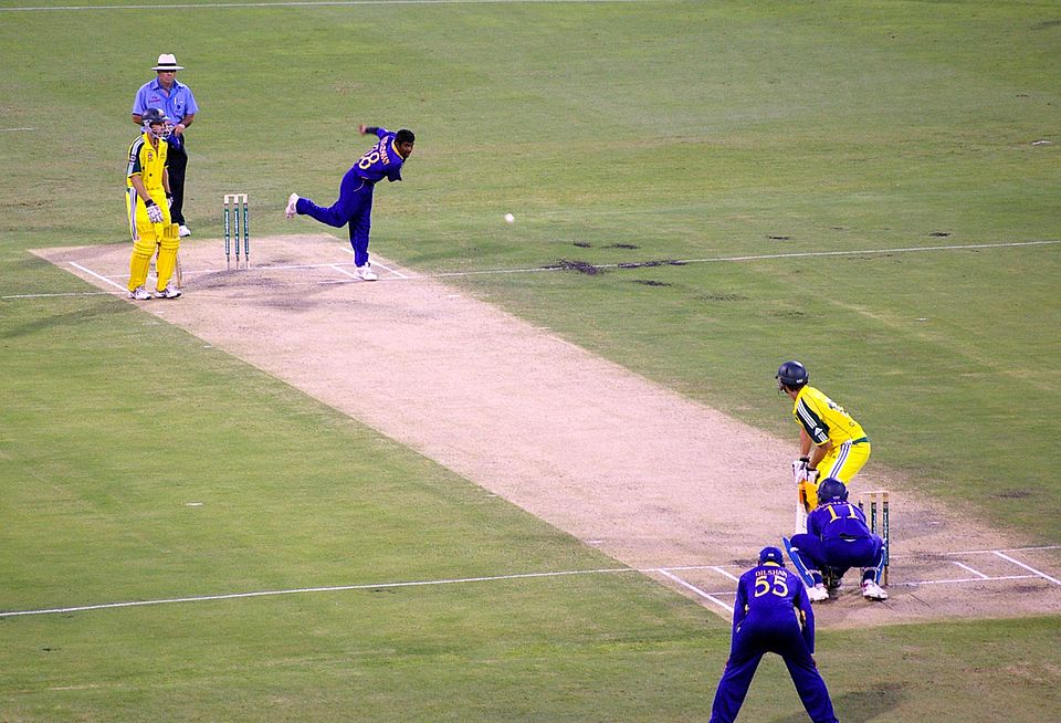 School Cricket